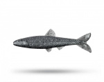 Yum Ned Minnow 2,75 inch Yum Ned Minnow 2,75 inch